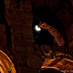 Foto Roma – Colosseo con luna