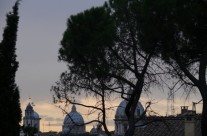 Foto Roma – Scorcio Roma con Alberi