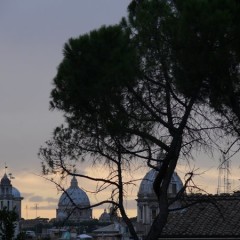Foto Roma – Scorcio Roma con Alberi