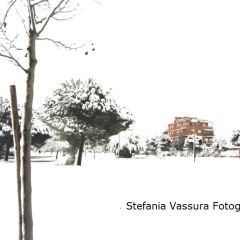 Stefania Vassura – Parco Meda Neve 2012