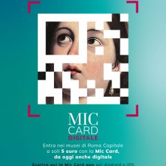 MIC card
