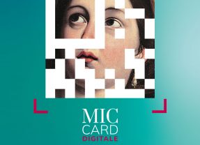 MIC card
